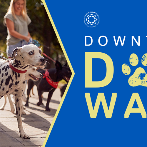 Downtown Dog Walk